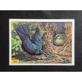 Figurine Panini Birds Sticker #282 (1979)