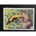 Figurine Panini Birds Sticker #281 (1979)