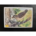 Figurine Panini Birds Sticker #265 (1979)