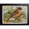 Figurine Panini Birds Sticker #264 (1979)