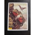 Figurine Panini Birds Sticker #261 (1979)