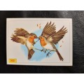 Figurine Panini Birds Sticker #252 (1979)
