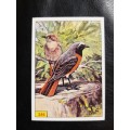 Figurine Panini Birds Sticker #246 (1979)