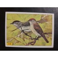 Figurine Panini Birds Sticker #248 (1979)