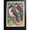 Figurine Panini Birds Sticker #235 (1979)