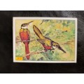 Figurine Panini Birds Sticker #212 (1979)