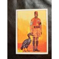Figurine Panini Birds Sticker #211 (1979)