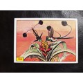 Figurine Panini Birds Sticker #199 (1979)