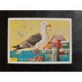 Figurine Panini Birds Sticker #171 (1979)
