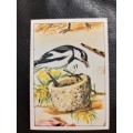 Figurine Panini Birds Sticker #149 (1979)