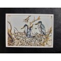 Figurine Panini Birds Sticker #148 (1979)