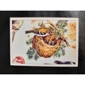 Figurine Panini Birds Sticker #145 (1979)