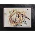 Figurine Panini Birds Sticker #144 (1979)