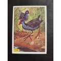 Figurine Panini Birds Sticker #114 (1979)
