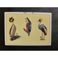 Figurine Panini Birds Sticker #7 (1979)