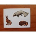 Figurine Panini Mammals Sticker #7 (1978)