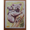 Figurine Panini Mammals Sticker #31 (1978)