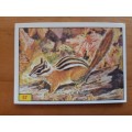 Figurine Panini Mammals Sticker #57 (1978)