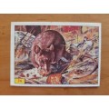 Figurine Panini Mammals Sticker #74 (1978)
