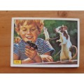 Figurine Panini Mammals Sticker #75 (1978)
