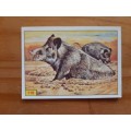 Figurine Panini Mammals Sticker #119 (1978)