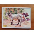 Figurine Panini Mammals Sticker #144 (1978)
