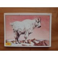 Figurine Panini Mammals Sticker #165 (1978)