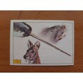 Figurine Panini Mammals Sticker #175 (1978)