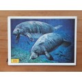 Figurine Panini Mammals Sticker #222 (1978)