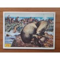 Figurine Panini Mammals Sticker #232 (1978)
