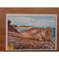 Figurine Panini Mammals Sticker #235 (1978)