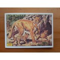 Figurine Panini Mammals Sticker #250 (1978)