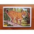 Figurine Panini Mammals Sticker #251 (1978)