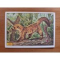 Figurine Panini Mammals Sticker #289 (1978)