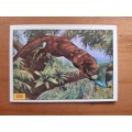 Figurine Panini Mammals Sticker #292 (1978)