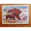 Figurine Panini Mammals Sticker #299 (1978)