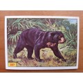Figurine Panini Mammals Sticker #307 (1978)