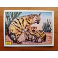 Figurine Panini Mammals Sticker #309 (1978)