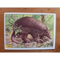 Figurine Panini Mammals Sticker #329 (1978)