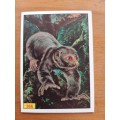 Figurine Panini Mammals Sticker #366 (1978)