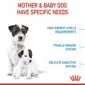 Royal Canin Mini Starter Mother & Babydog 4kg Damaged Packaging