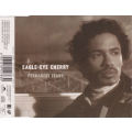 Eagle-Eye Cherry - Permanent Tears CD Single - MAXCD155