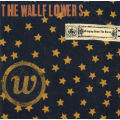 WALLFLOWERS, THE - Bringing Down The Horse - South African CD - CDINT(WF)420