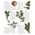 Encyclopedia for Herbal Medicine E-Book PDF