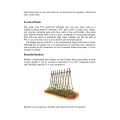 Vertical Vegetable and Fruit E-Book PDF