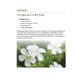 Herbal Remedies Made Simple Recipes PDF