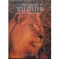 The ultimate wildlife of Southern Africa