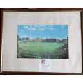 Cricket Charles Cundall  (1890-1977) framed print