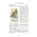 The Observer`s Book of British Birds