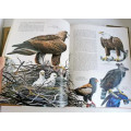 Birds of the World by Oliver L. Austin, Illustrated by Arthur Singer, 1988